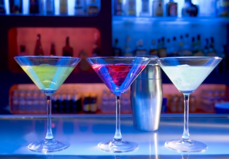 Established Bar & Lounge – Type 48 License